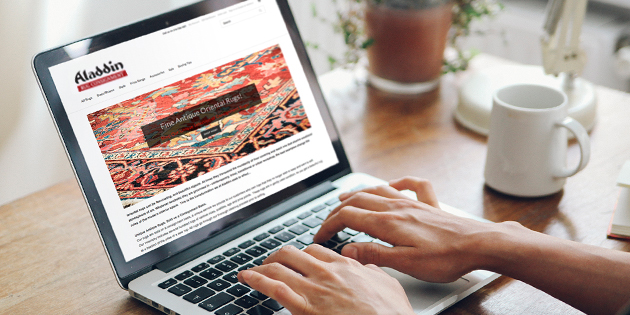 Person at computer viewing the Aladdin online store.