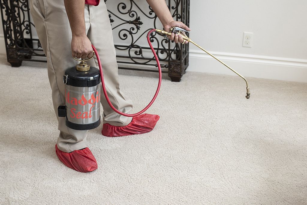 An Aladdin technican applying fabric protection spray to cleaned carpet to prevent stains and protect from spills