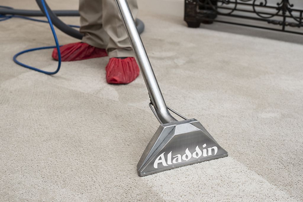Aladdin employee cleaning a carpet with a tool.