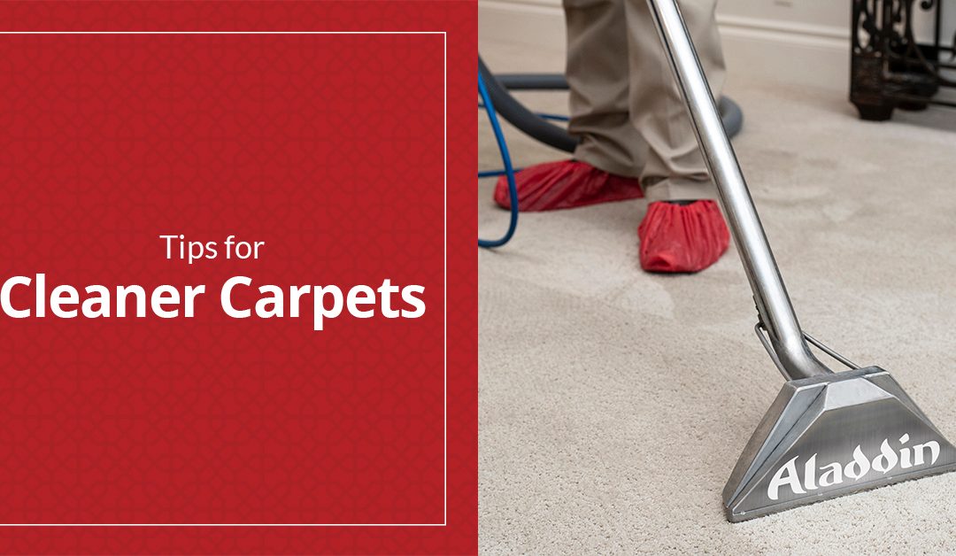 How Often Should You Have Your Carpets Cleaned?