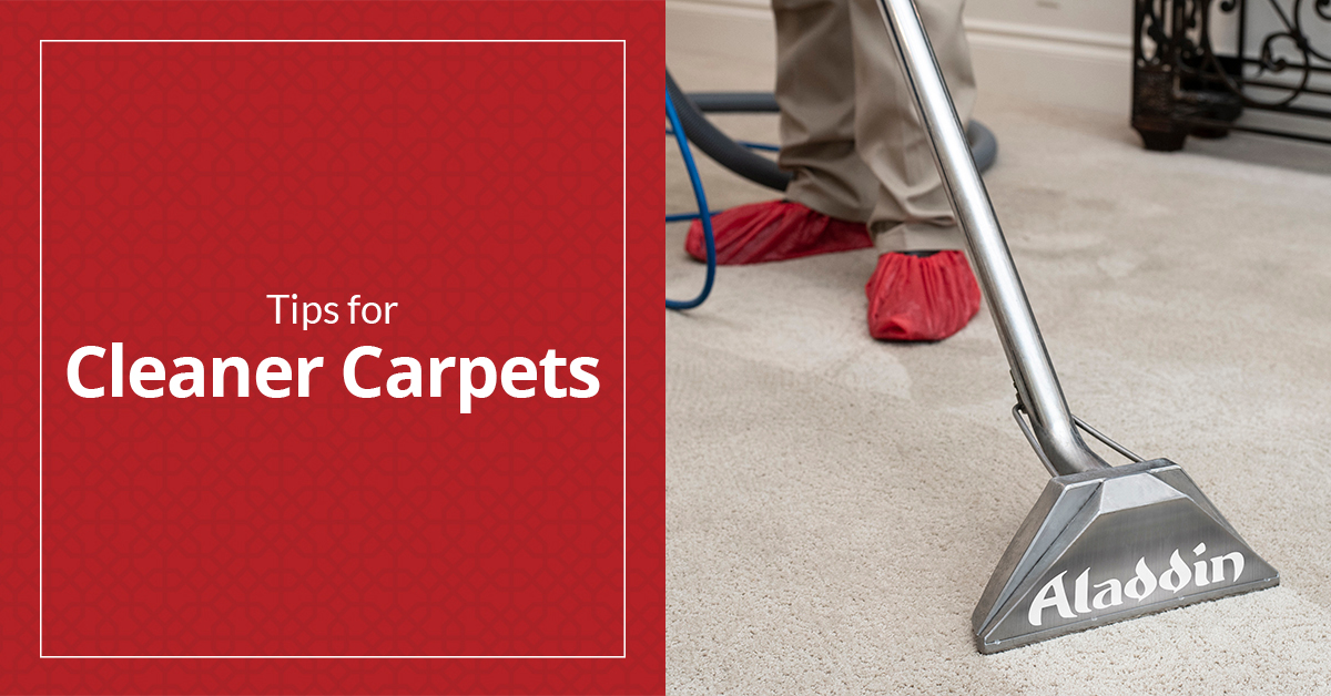 How Often Should You Have Your Carpets Cleaned?