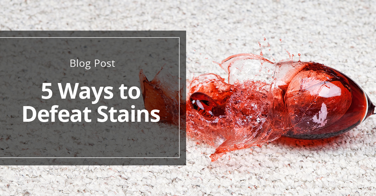 Top 5 Things to Stop Doing IMMEDIATELY When Cleaning Stains from Rugs and Carpets