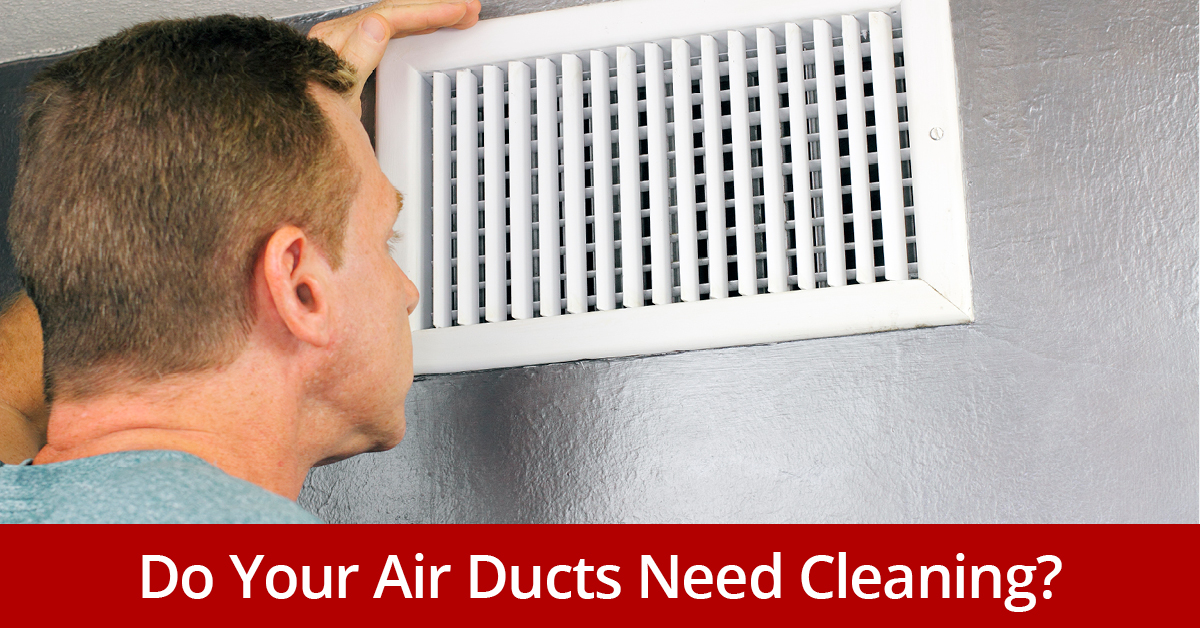 What’s Really Living in Your Air Ducts?