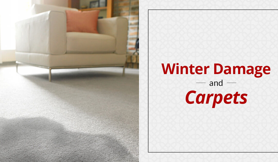 Winter Damage and Carpets
