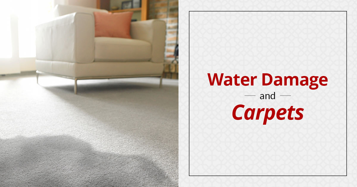 Snow, Rain, Busted Pipes: Water Damage and Carpet Cleaning