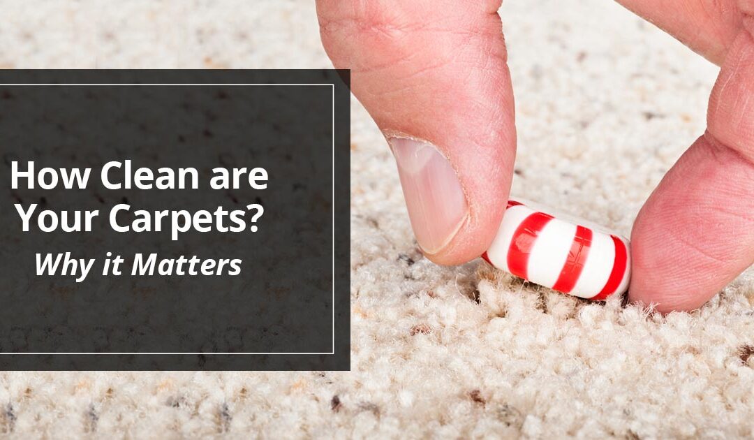 How Clean are your Carpets? Why it matters