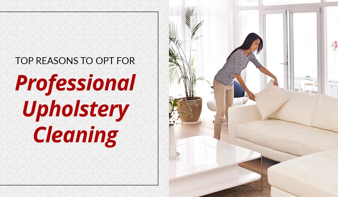 Why to Get Your Upholstery Cleaning Done Professionally