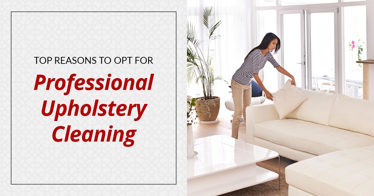 Why to Get Your Upholstery Cleaning Done Professionally