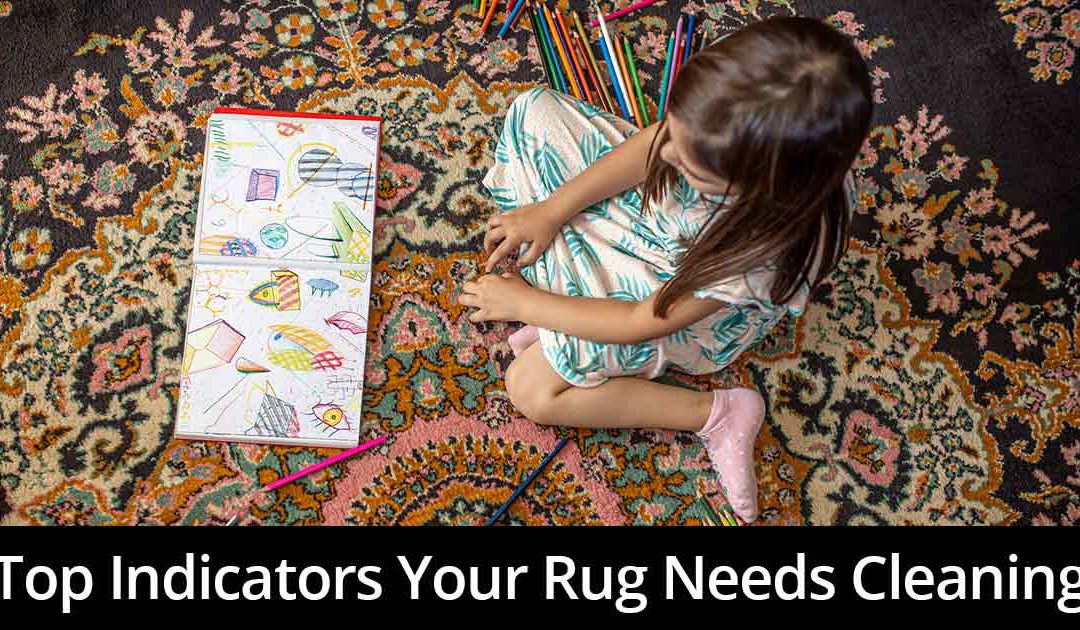 Signs Your Rug Needs Some TLC (And a Deep Clean)