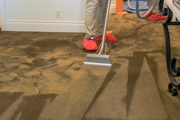 A carpet cleaning technician cleaning carpet with hot water