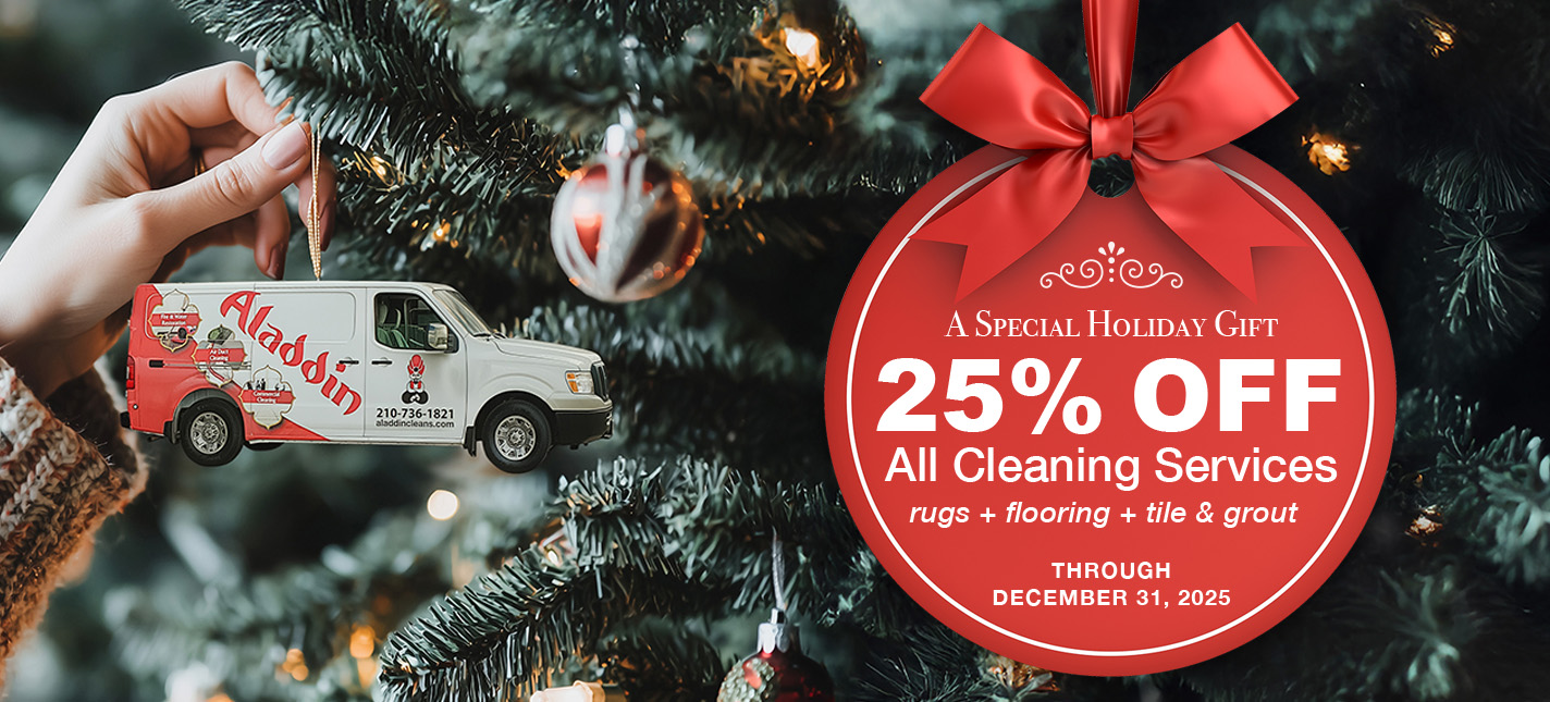 25% off all cleaning services